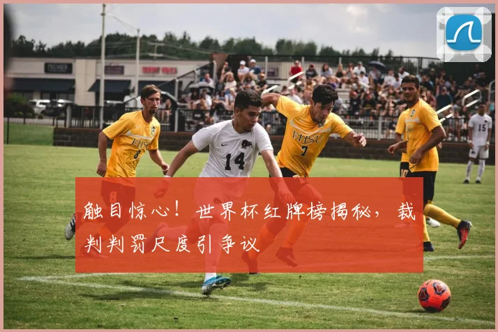 触目惊心！世界杯红牌榜揭秘，裁判判罚尺度引争议