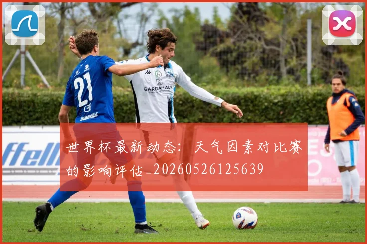 世界杯最新动态：天气因素对比赛的影响评估_20260526125639