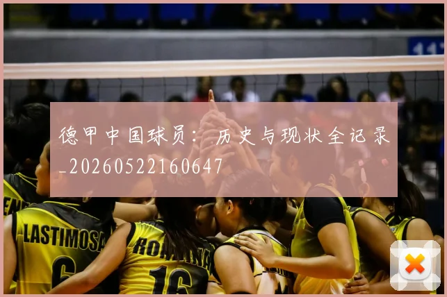 德甲中国球员：历史与现状全记录_20260522160647