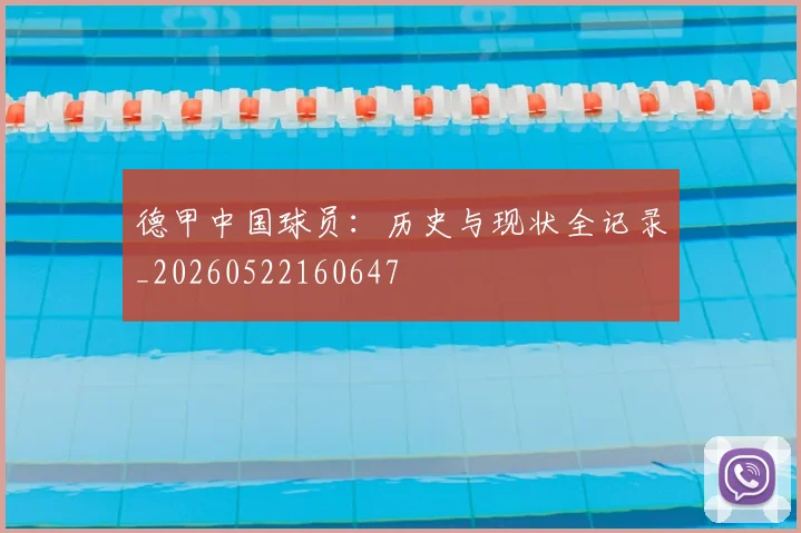 德甲中国球员：历史与现状全记录_20260522160647