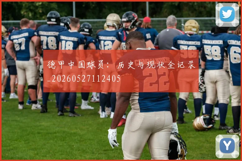 德甲中国球员:历史与现状全记录_20260527112405